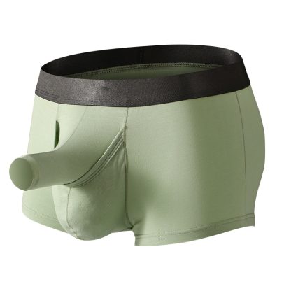 Sensual Elephant Bulge Shorts - Image 2