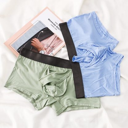 Sensual Elephant Bulge Shorts - Image 3