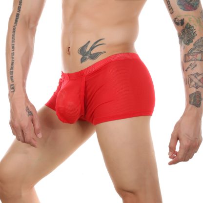 Mesh Open-Crotch Boxer - Image 15