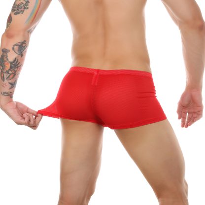 Mesh Open-Crotch Boxer - Image 14