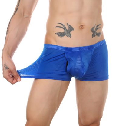 Mesh Open-Crotch Boxer - Image 10