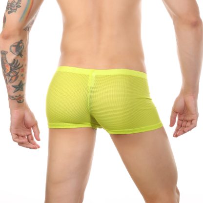 Mesh Open-Crotch Boxer - Image 11