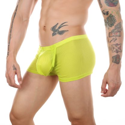 Mesh Open-Crotch Boxer - Image 12
