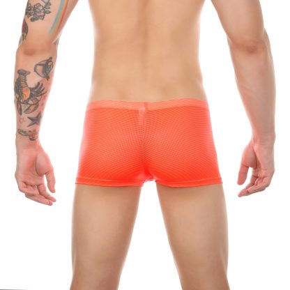 Mesh Open-Crotch Boxer - Image 6