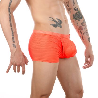 Mesh Open-Crotch Boxer - Image 13