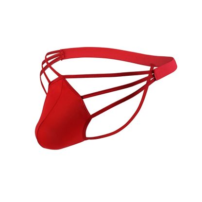 Lingerie Jockstrap Bikini - Image 5