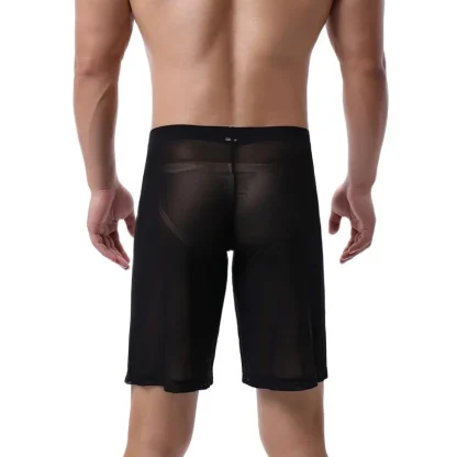 Long Leg Transparent Panties Boxer Shorts - Image 2