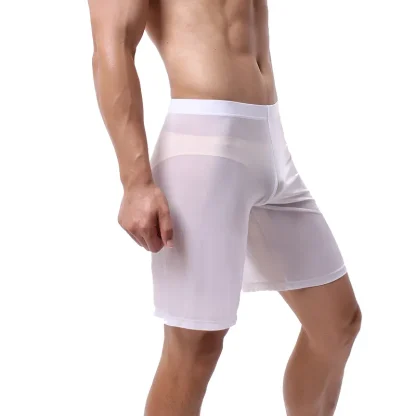 Long Leg Transparent Panties Boxer Shorts - Image 4