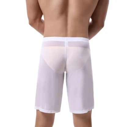 Long Leg Transparent Panties Boxer Shorts - Image 5