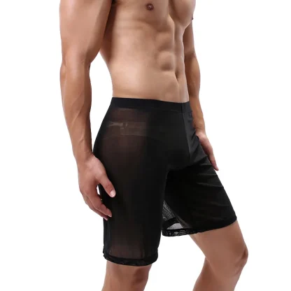 Long Leg Transparent Panties Boxer Shorts