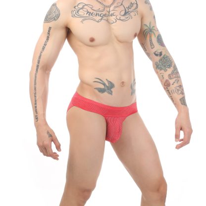 Sexy Panties with Bulge-Enhancing Pouch - Image 4