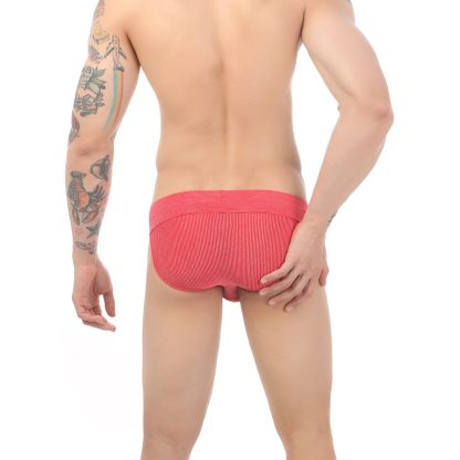 Sexy Panties with Bulge-Enhancing Pouch - Image 5