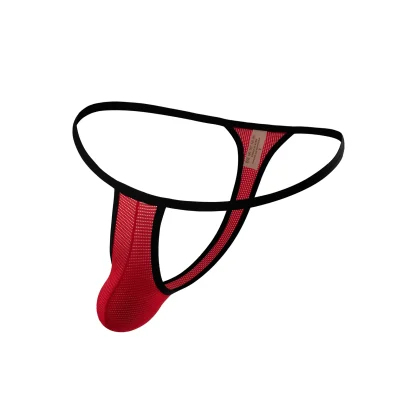 Sexy Mesh Sheer Panties