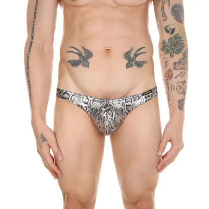 Sleek Erotic Sensual Briefs