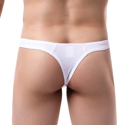 Sensual T-Back Thong Bikini - Image 4
