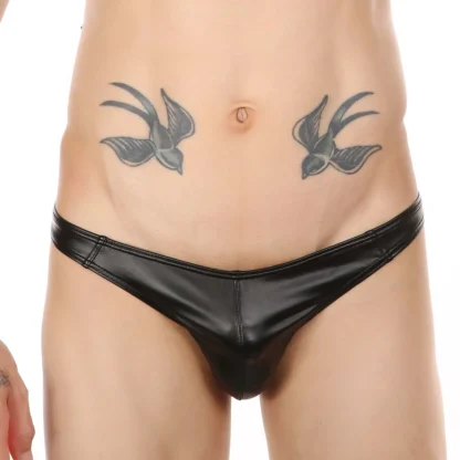 Wet Look Underpants - Image 3