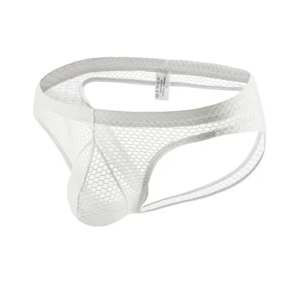 Backless See-Through Panties - Image 3