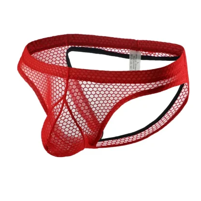 Backless See-Through Panties - Image 4