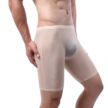 Sexy See-Through Boxer Panties