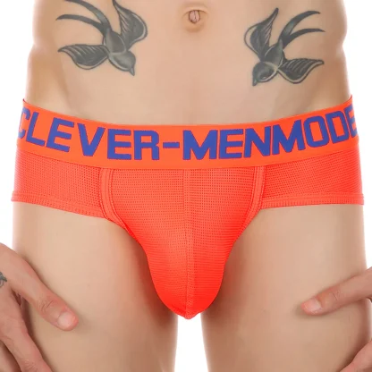 Sleek and Sexy Underwear - Image 2