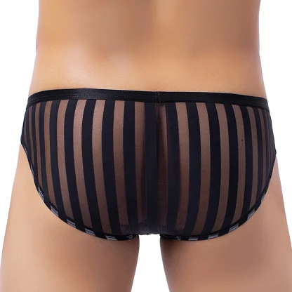 Sexy Ultra-Thin Striped Panties - Image 3