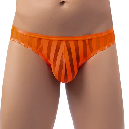Sexy Ultra-Thin Striped Panties - Image 5