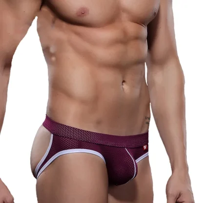 Sexy Mesh G String Underwear - Image 8