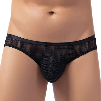 Pouch Briefs in Lace Mesh - Image 2