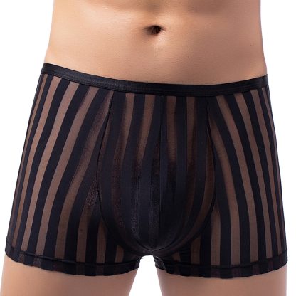 Breathable Transparent Underwear