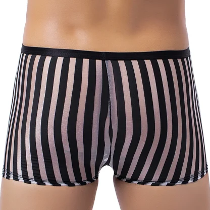 Breathable Transparent Underwear - Image 4