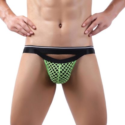 Sensual Fishnet Panties - Image 5