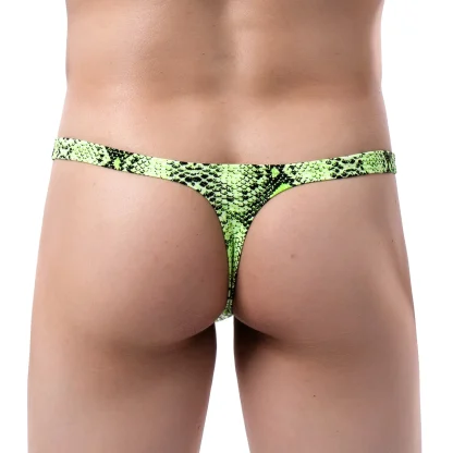 Provocative T-Back Lingerie Thong - Image 4