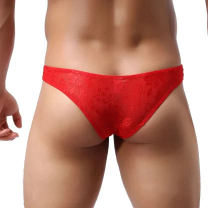 Lace Sensation Sheer Mesh Briefs - Image 3