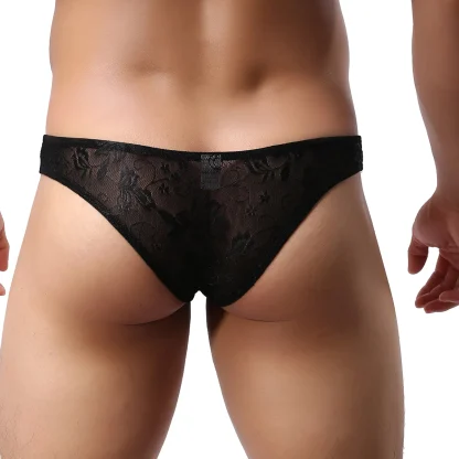 Lace Sensation Sheer Mesh Briefs