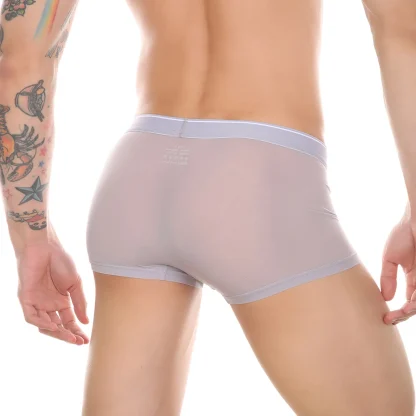 See-Through Underwear - Image 2
