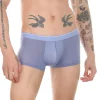 See-Through Underwear - Image 3