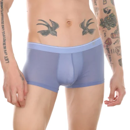 See-Through Underwear - Image 3