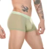 See-Through Underwear - Image 4