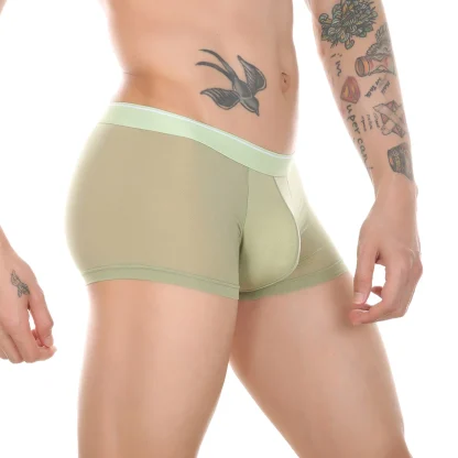 See-Through Underwear - Image 4
