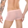 See-Through Underwear - Image 5