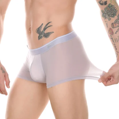See-Through Underwear