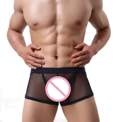 Sensual Mesh Boxer Shorts - Image 3