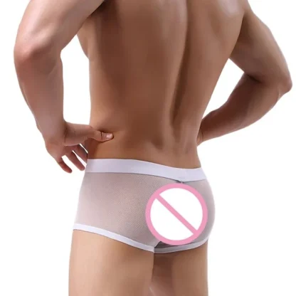Sensual Mesh Boxer Shorts - Image 4