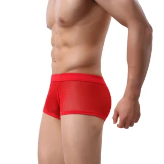 Sensual Mesh Boxer Shorts