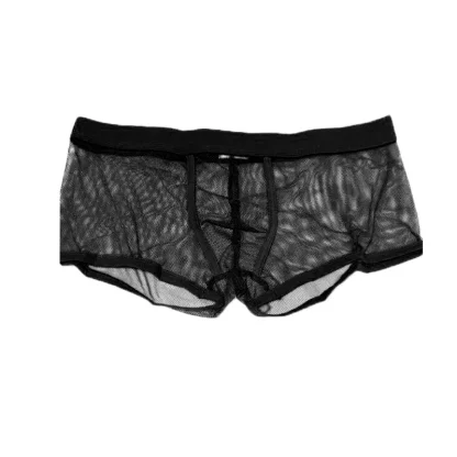 Sensual Mesh Boxer Shorts - Image 5
