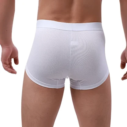 See-Through Underpants - Image 2