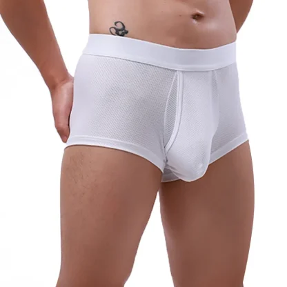 See-Through Underpants