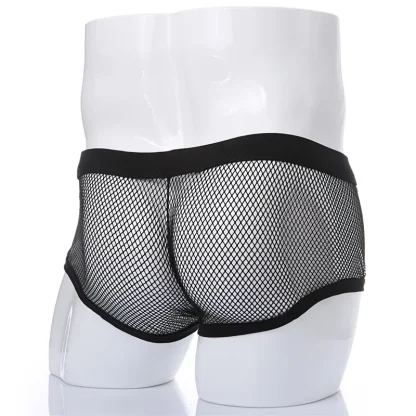 Sheer Mesh Underwear - Image 2