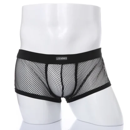 Sheer Mesh Underwear - Image 3
