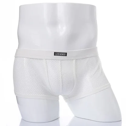 Sheer Mesh Underwear - Image 4